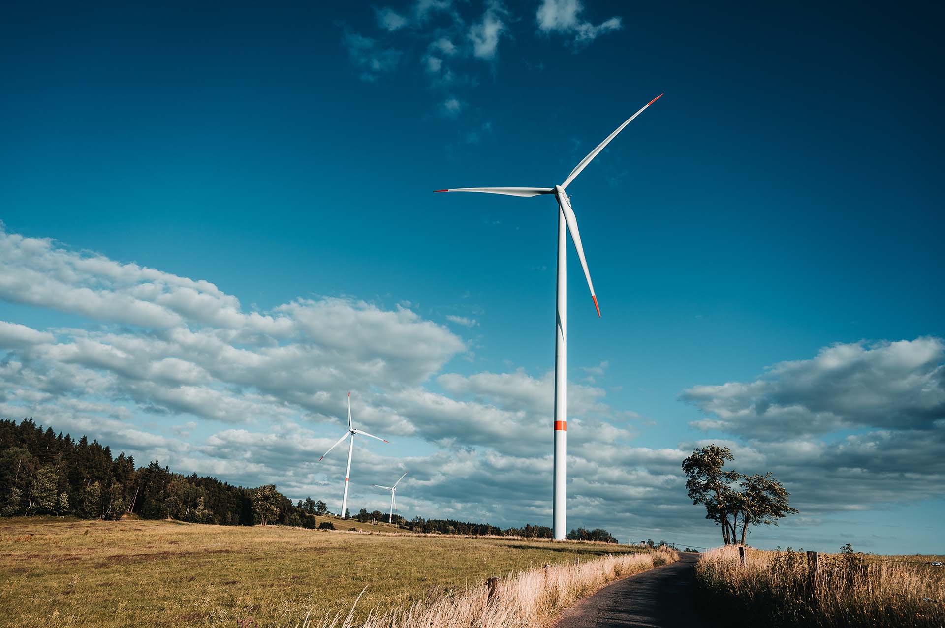 Windmills on the field